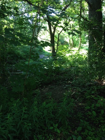 Second view of creek
